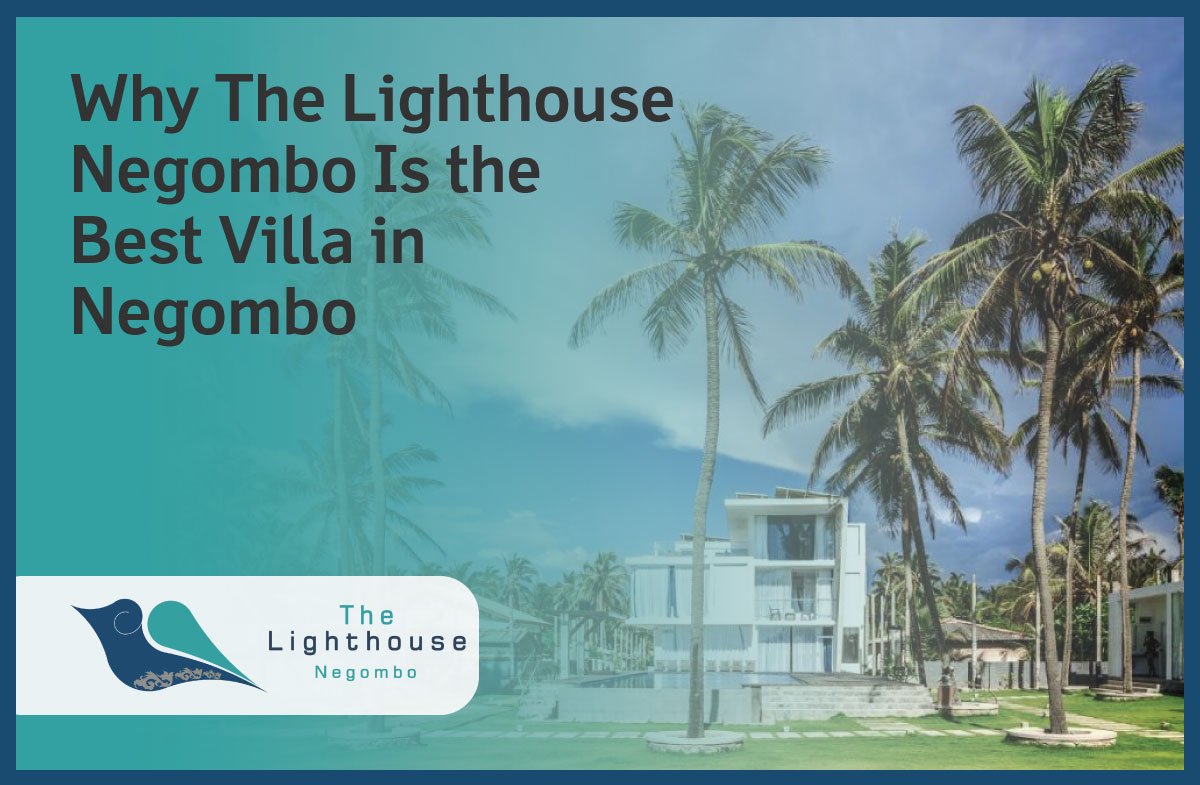 the lighthouse negombo